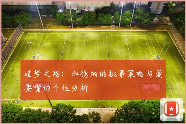 追梦之路：加德纳的挑事策略与爱耍嘴的个性分析