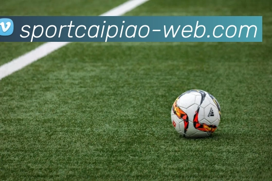 大发彩票服务体系