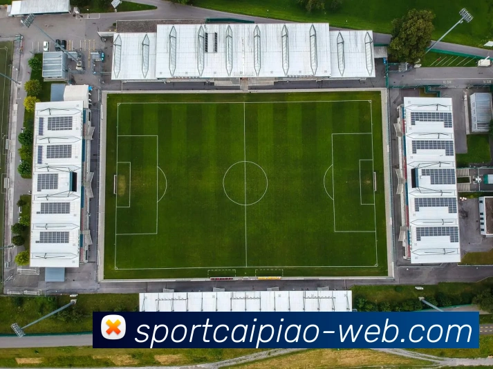 多媒体互动体验